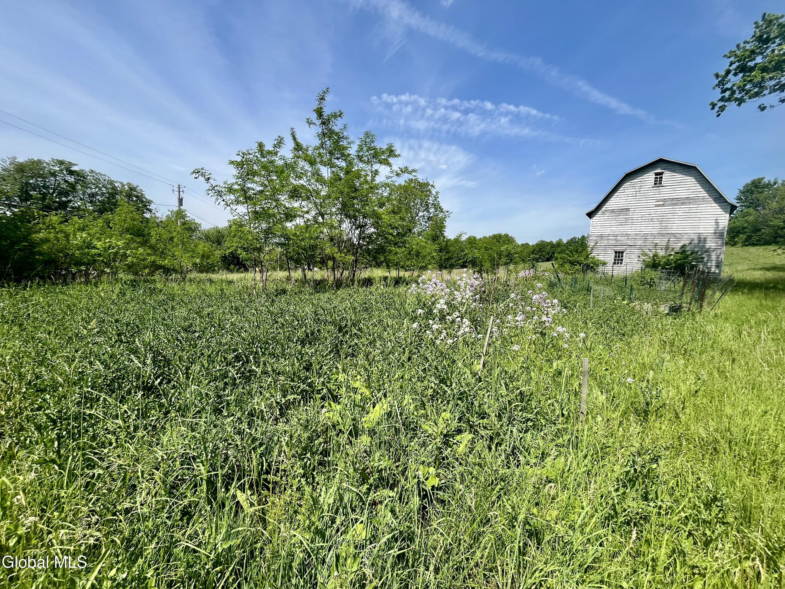 6328 State Highway 10