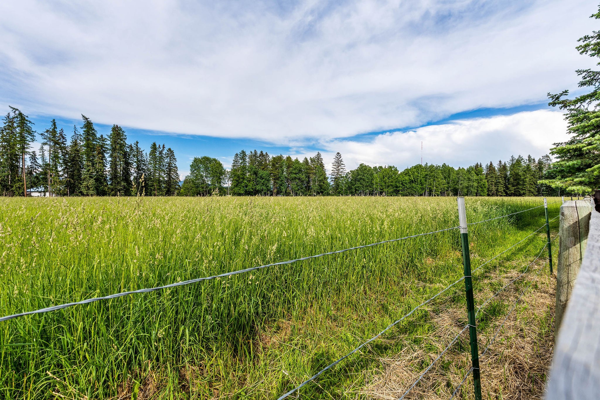 329 Shady River Lane