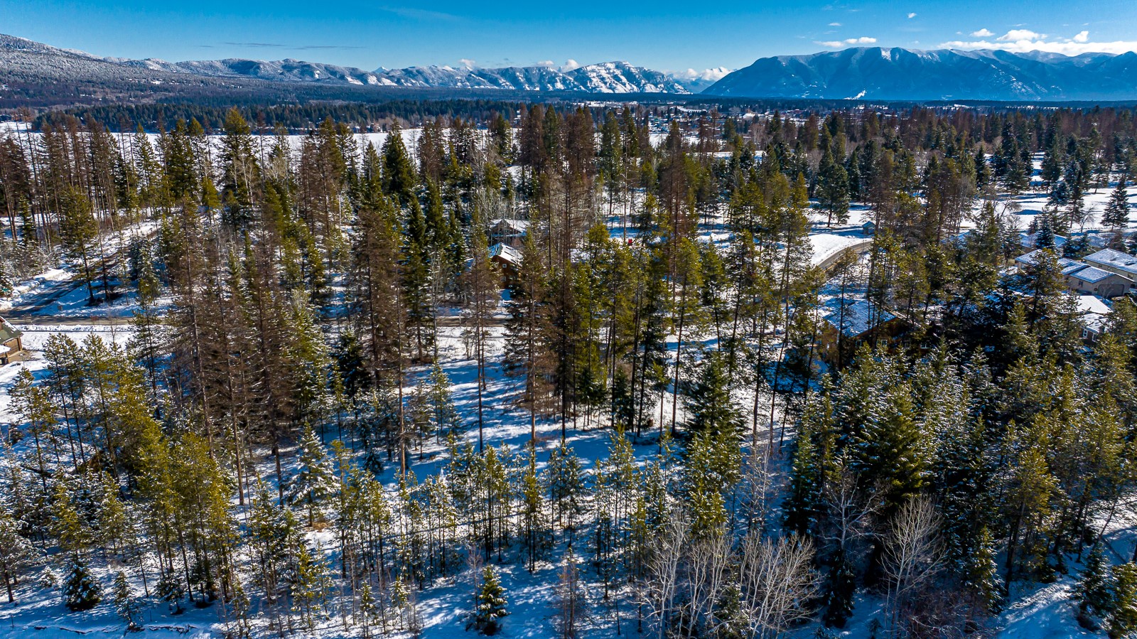 nhn State Park Road