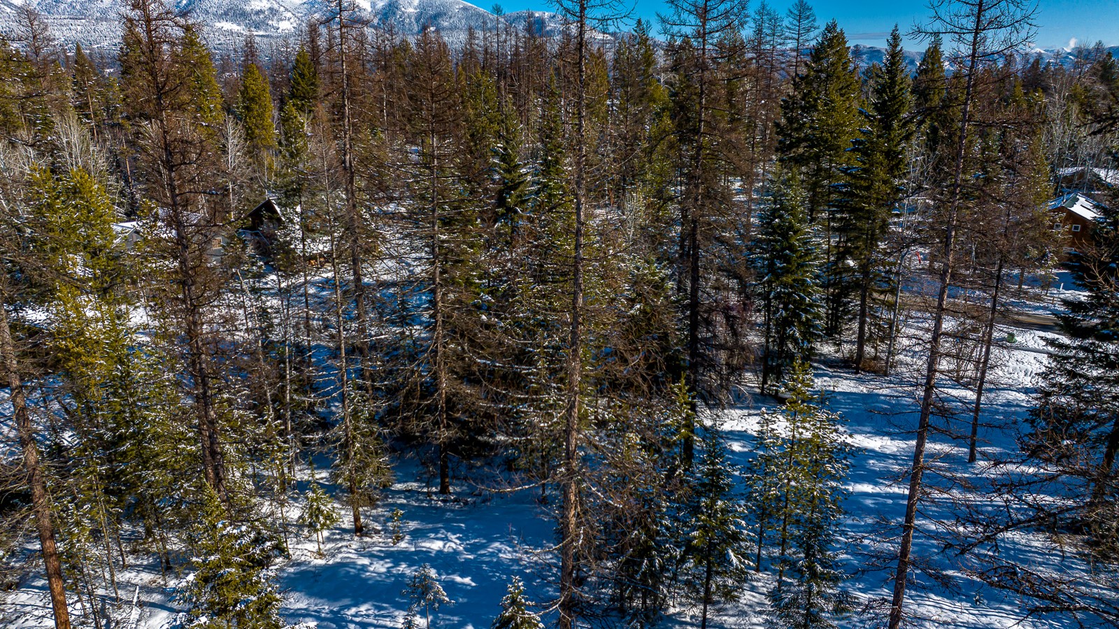 nhn State Park Road