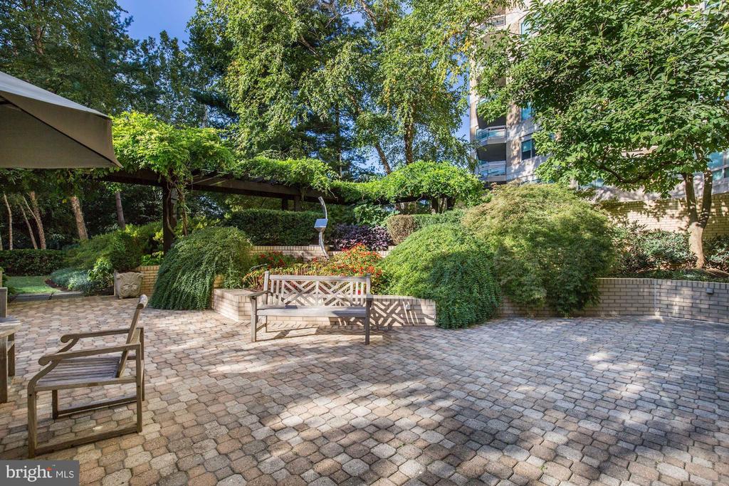 5610 Wisconsin Ave #107