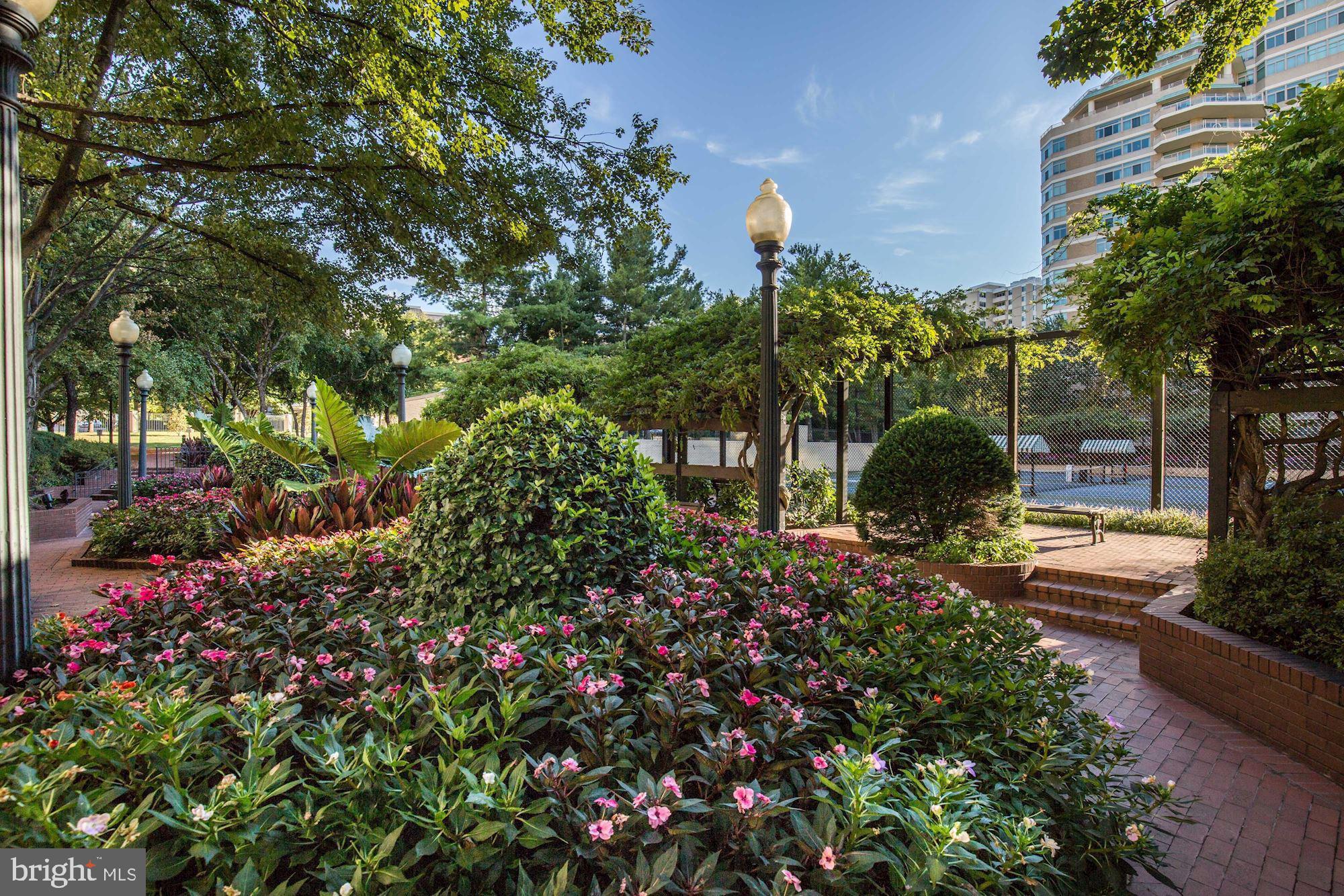 5610 Wisconsin Ave #107