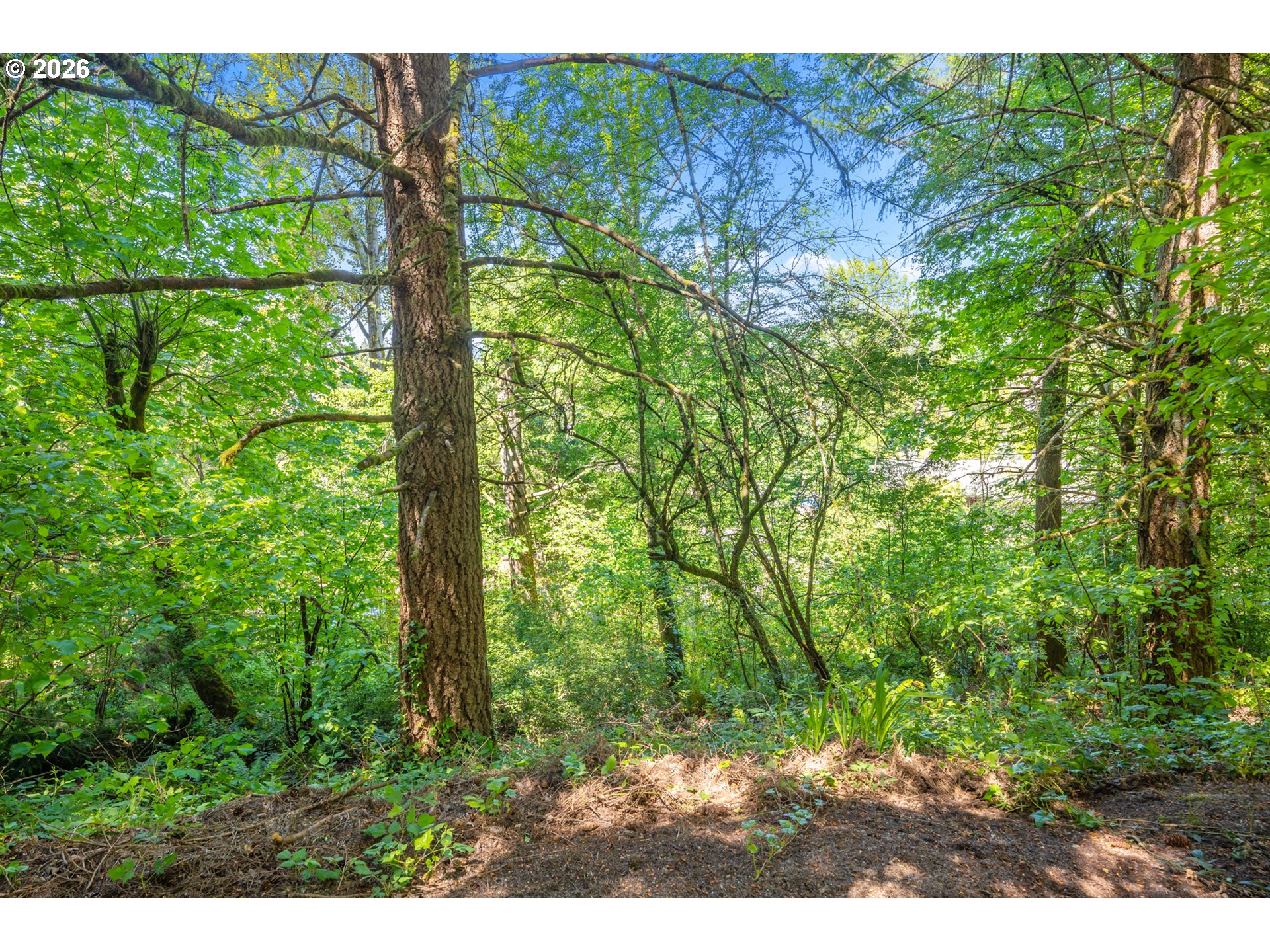 12015 NW DUMAR LN