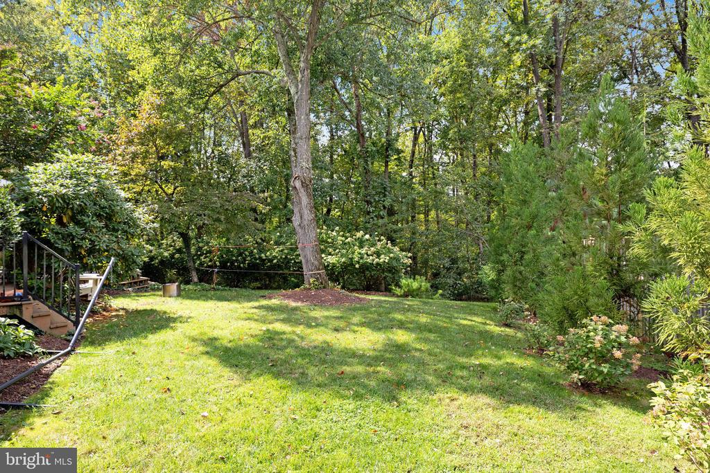 1816 Abbey Oak Dr