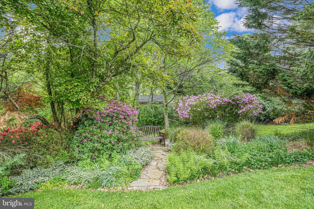 9808 Kohoutek Ct