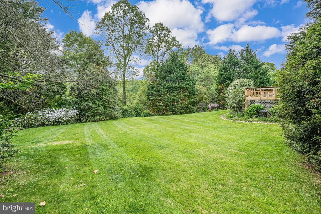 9808 Kohoutek Ct