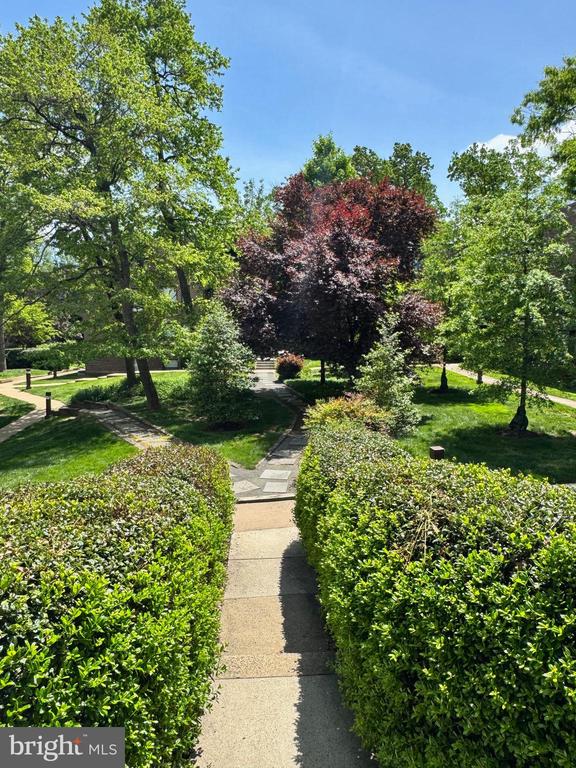 11200 CHESTNUT GROVE SQ #204
