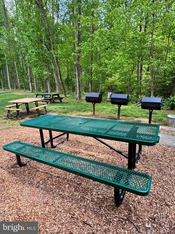 11200 CHESTNUT GROVE SQ #204