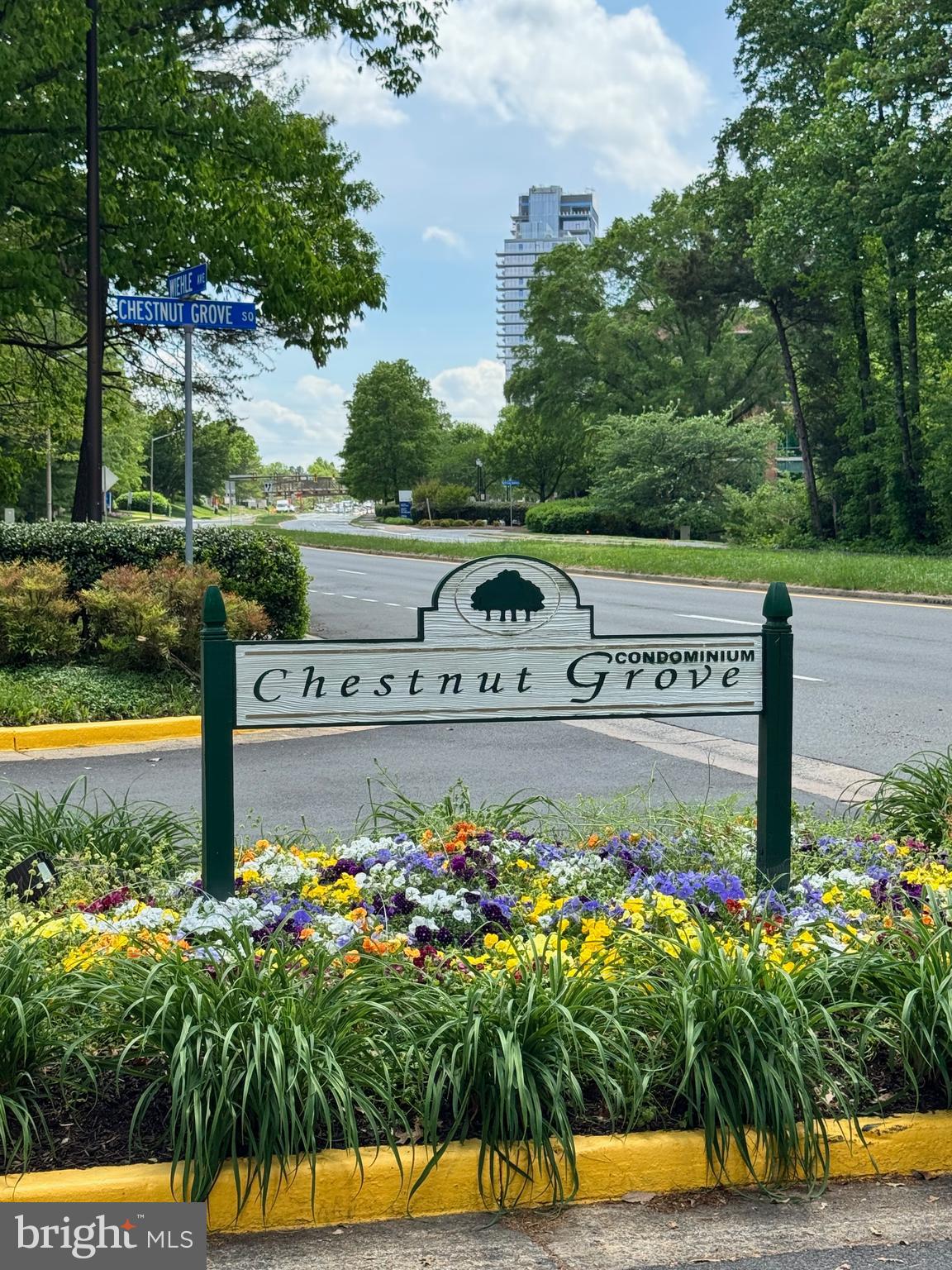 11200 CHESTNUT GROVE SQ #204