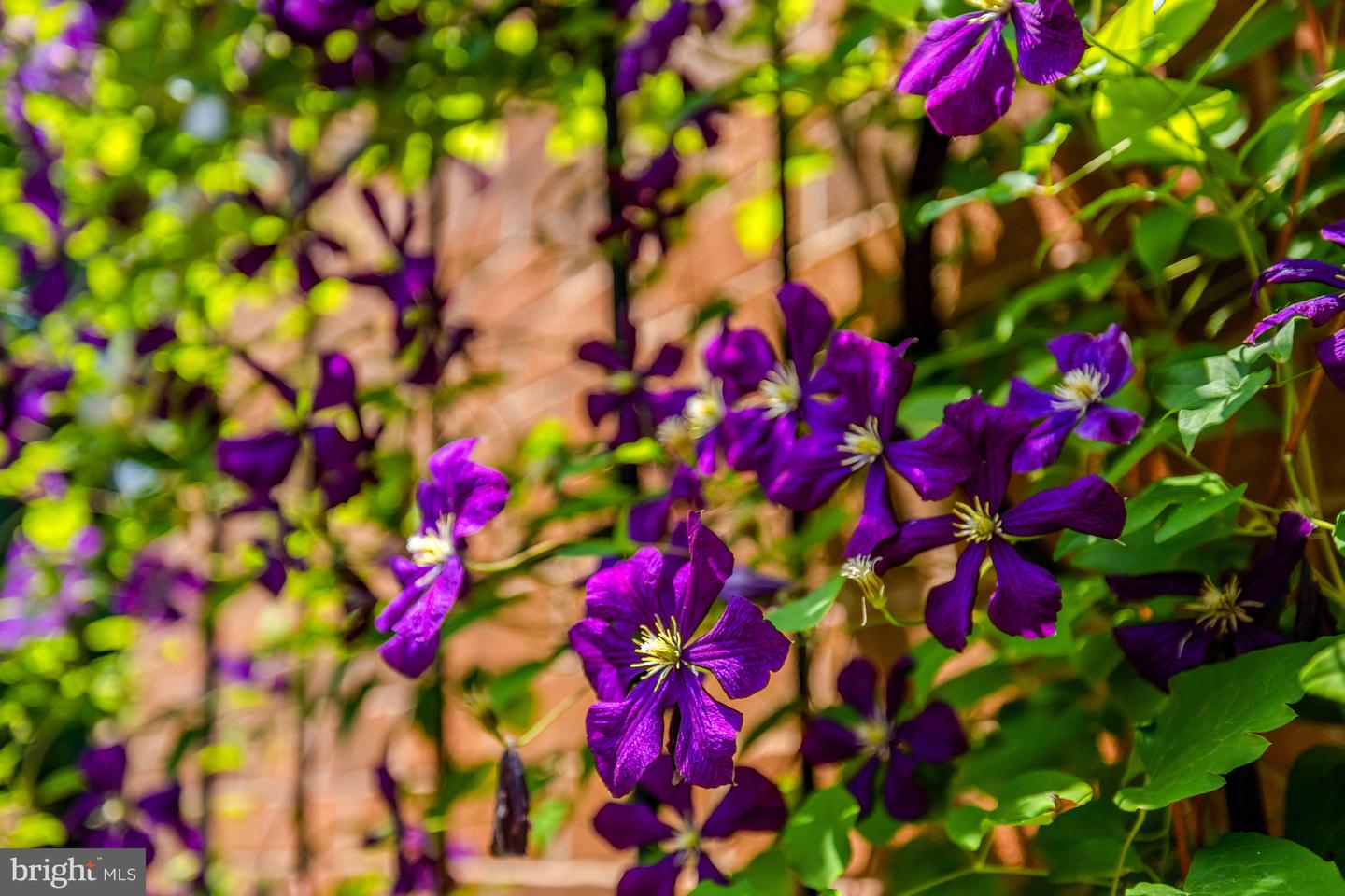 11064 Thrush Ridge Rd