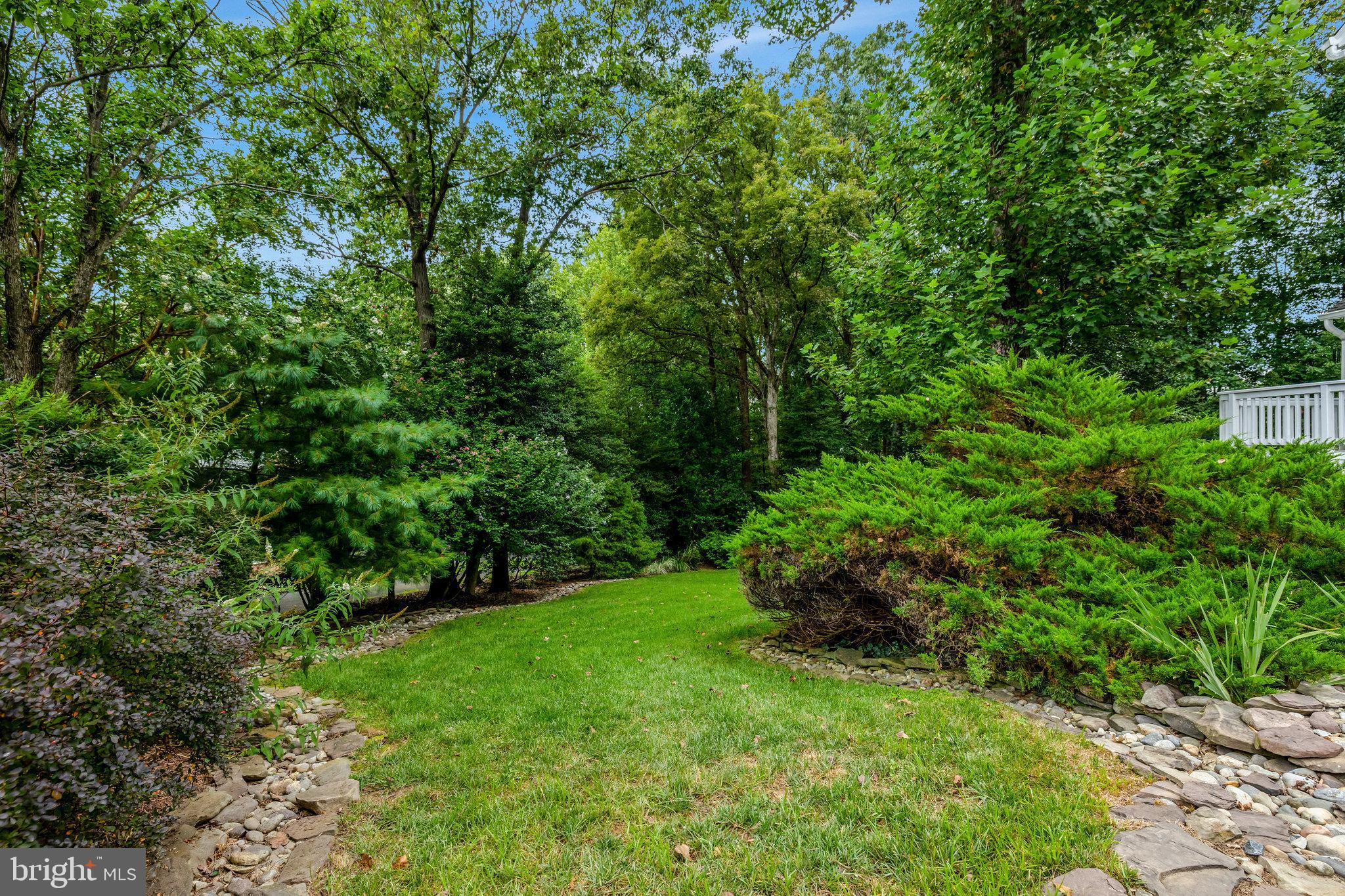 11412 Green Moor