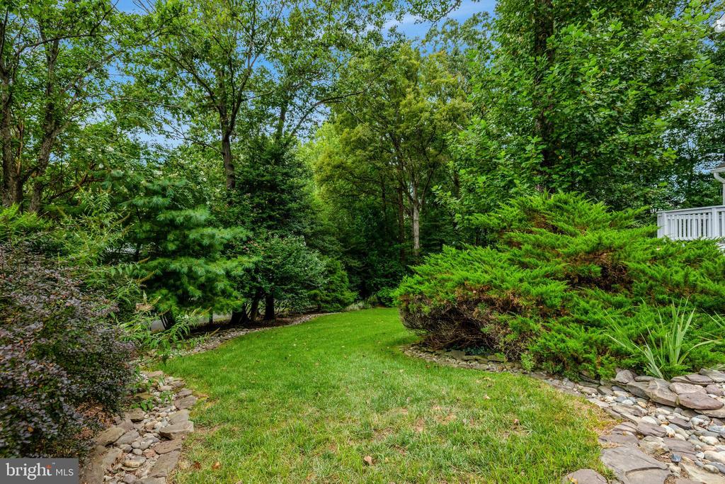 11412 Green Moor
