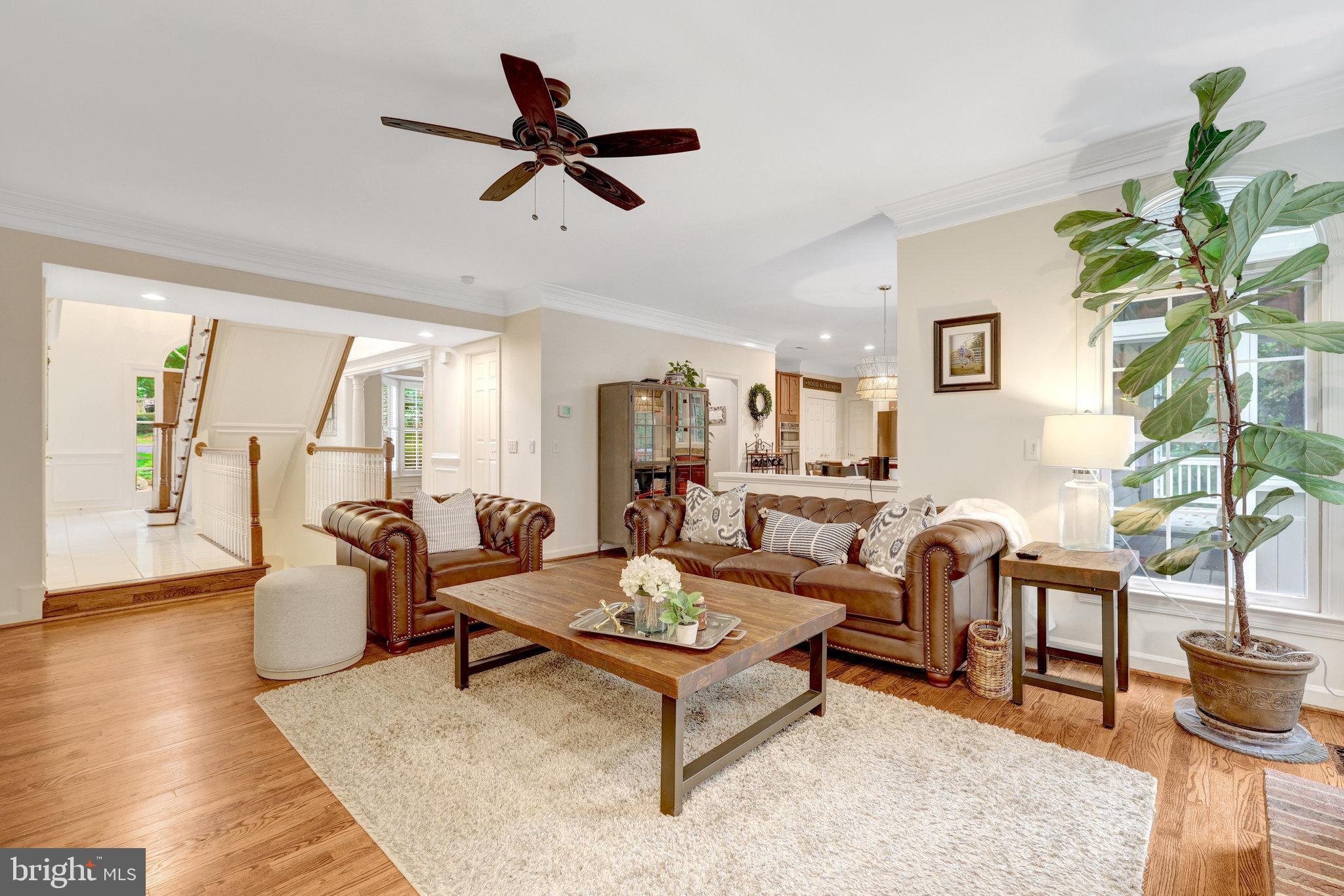11412 Green Moor