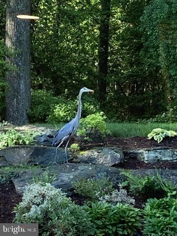 2007 SPRING BRANCH DRIVE