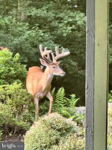 2007 SPRING BRANCH DRIVE