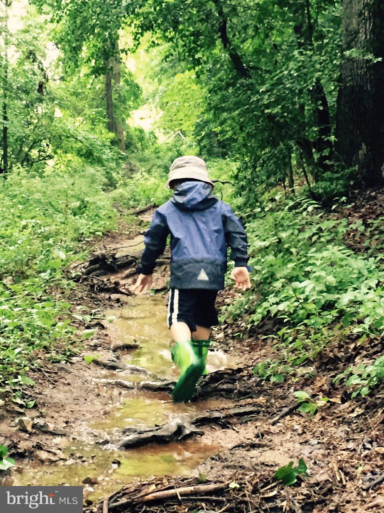 2007 SPRING BRANCH DRIVE