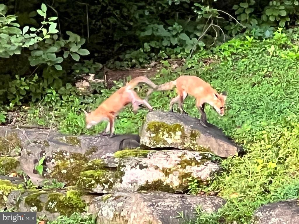 2007 SPRING BRANCH DRIVE