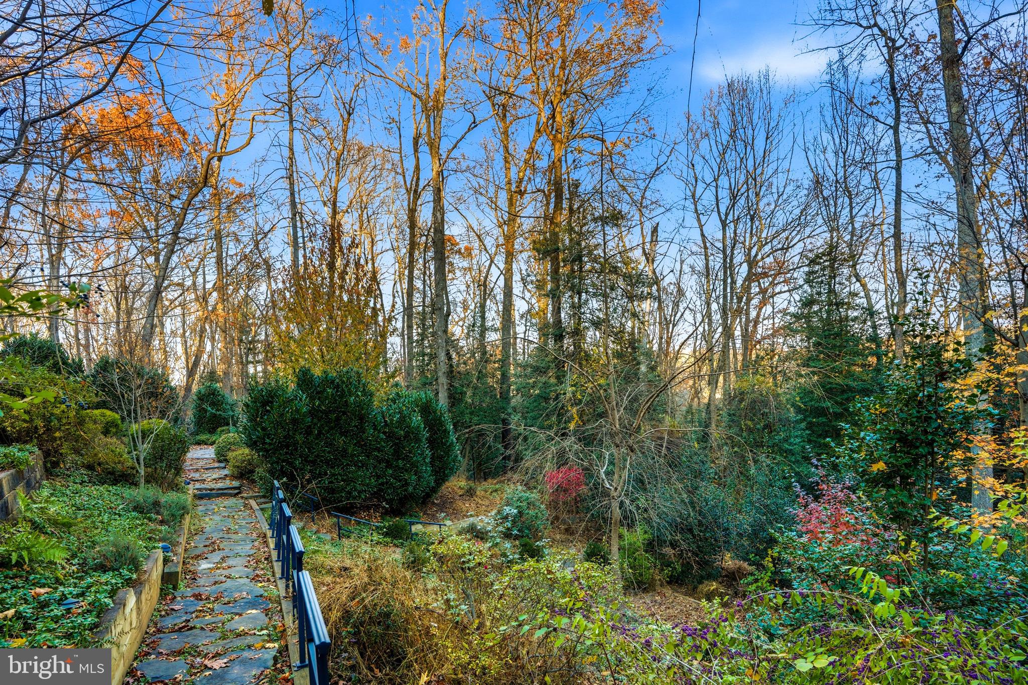 2007 SPRING BRANCH DRIVE