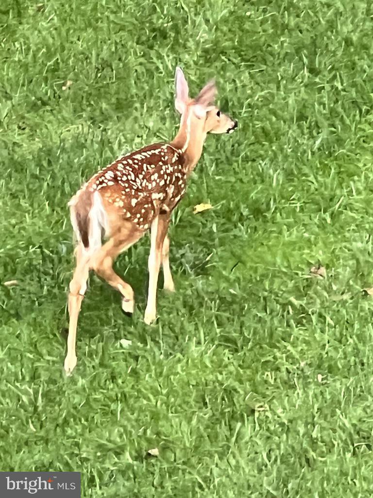 2007 SPRING BRANCH DRIVE