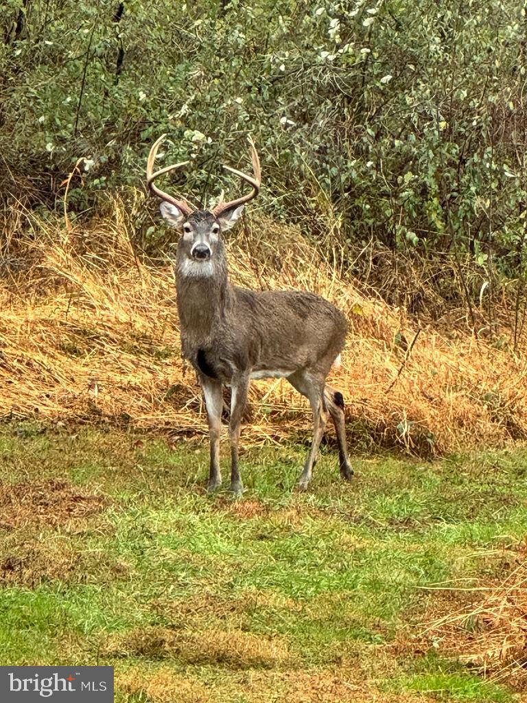 2007 SPRING BRANCH DRIVE