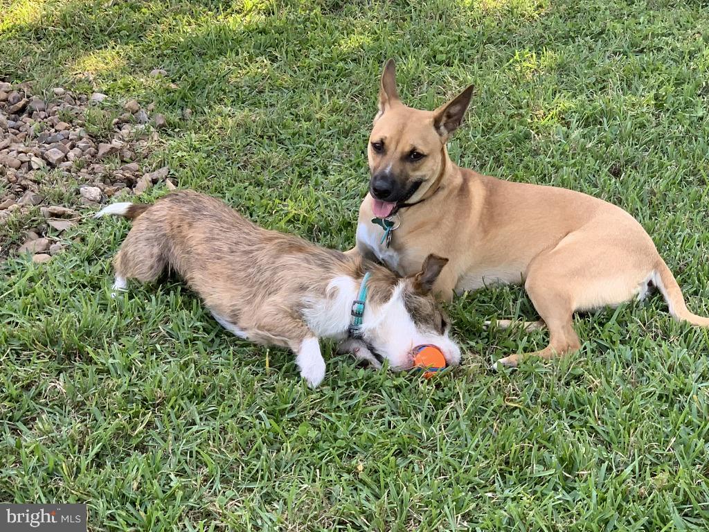 2007 SPRING BRANCH DRIVE