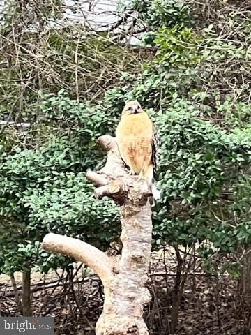 2007 SPRING BRANCH DRIVE