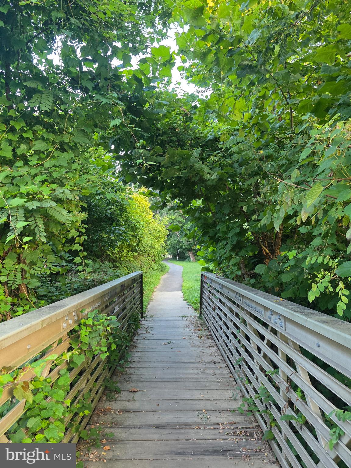 6513 OLD DOMINION DRIVE