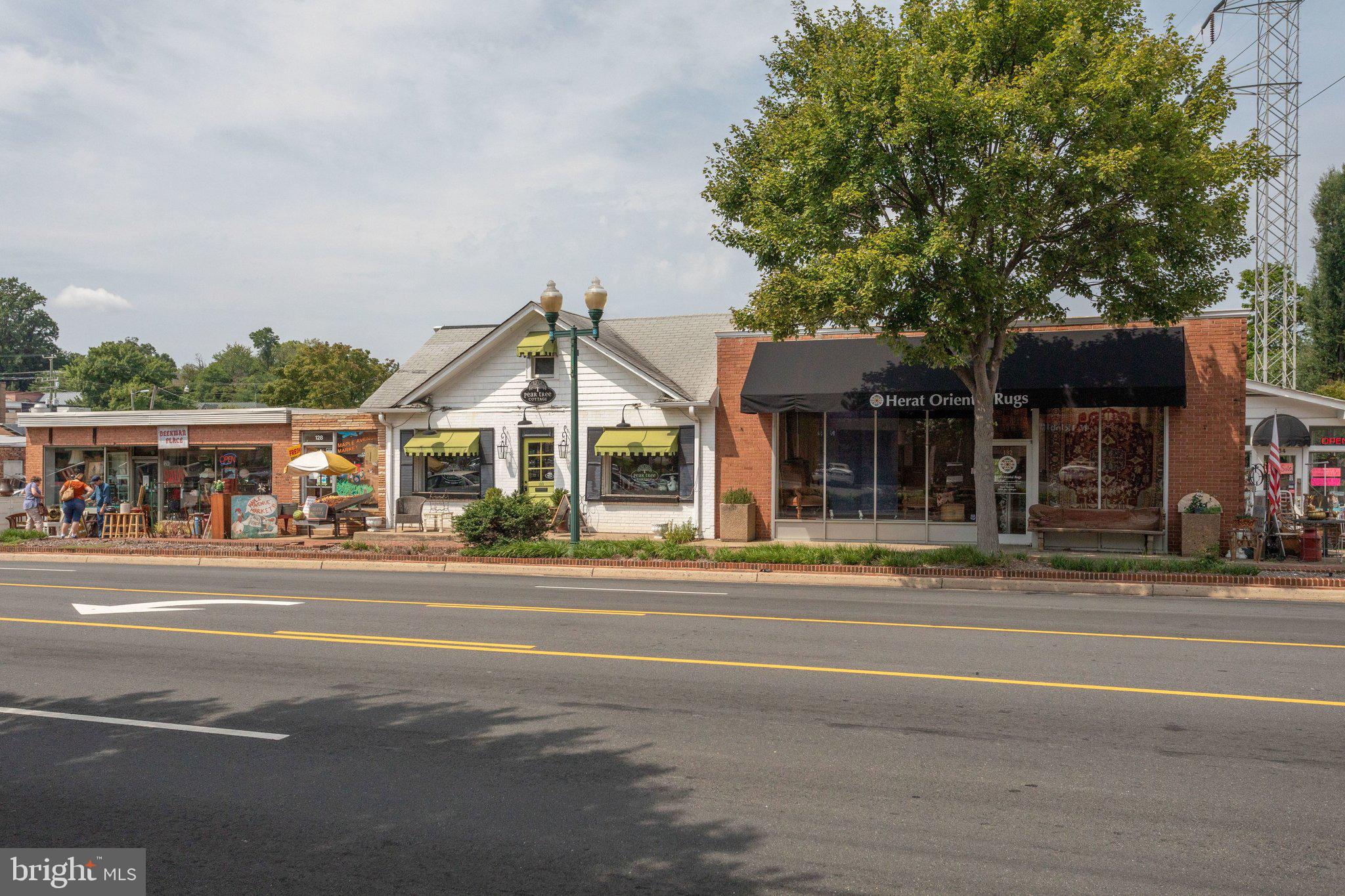 203 LOCUST STREET SW