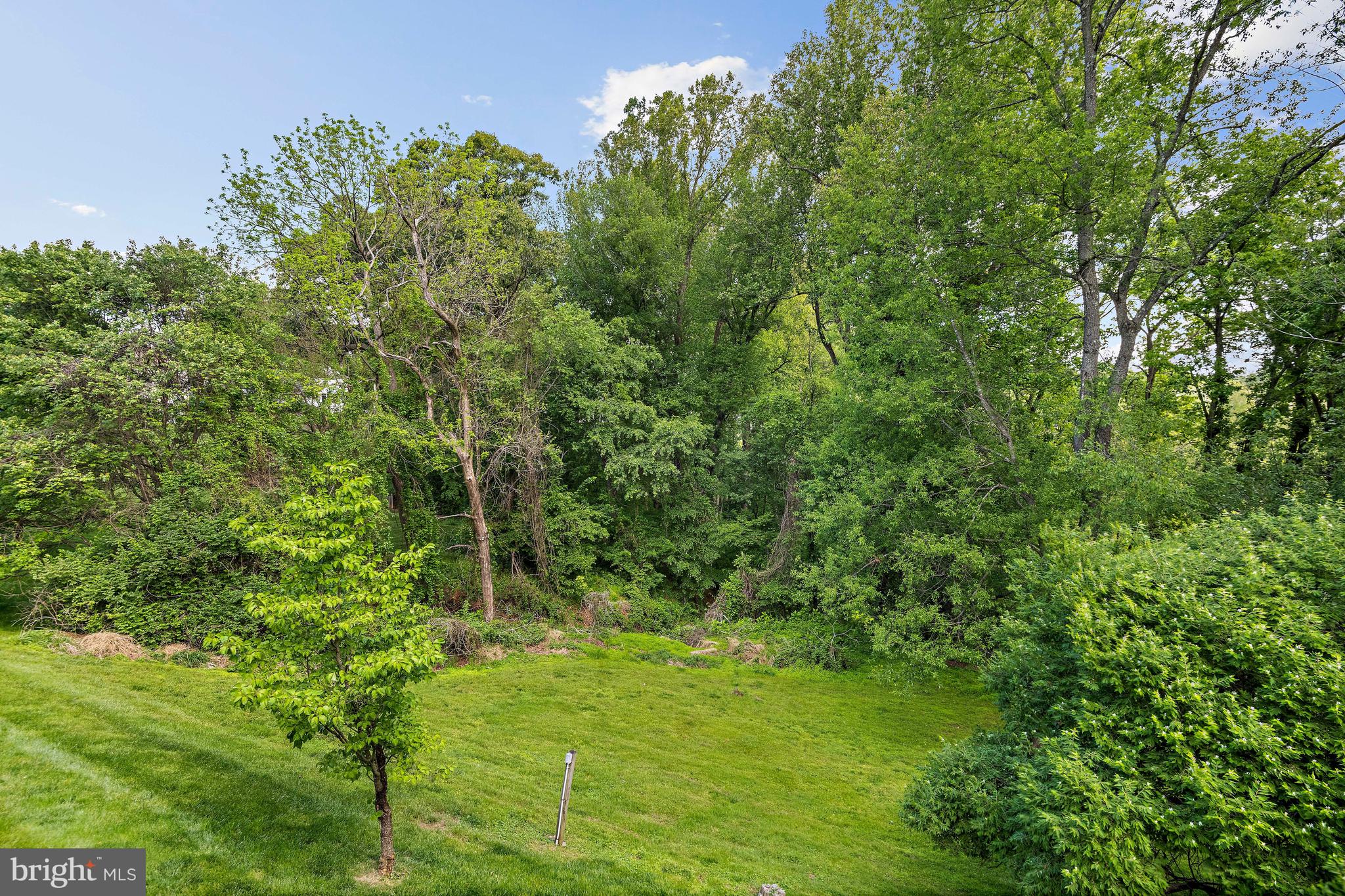 9830 FAUST DRIVE