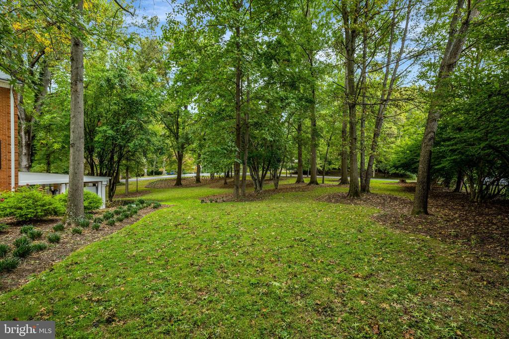 10015 SADDLE ROAD