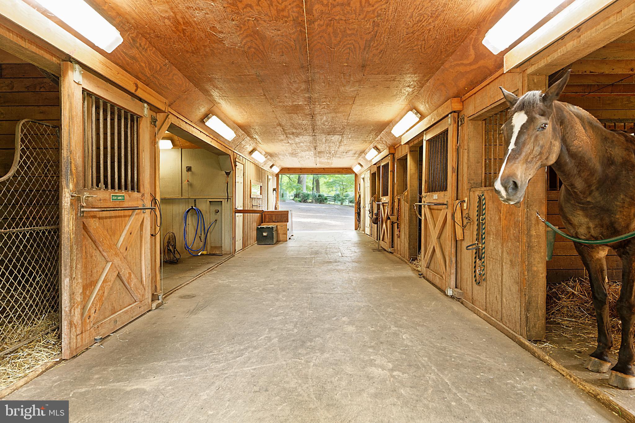 23938 Aldie Dam Road ROAD