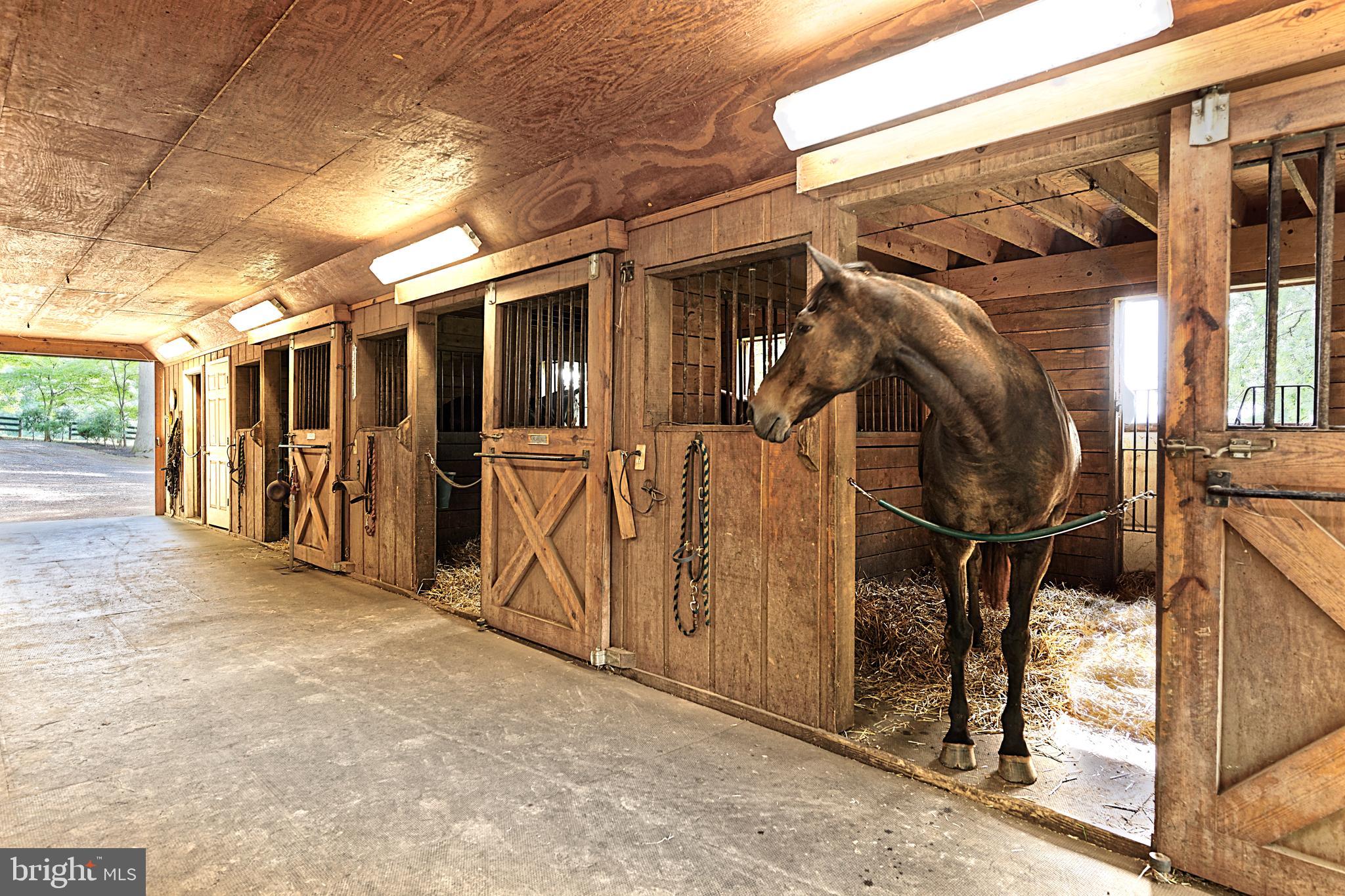 23938 Aldie Dam Road ROAD