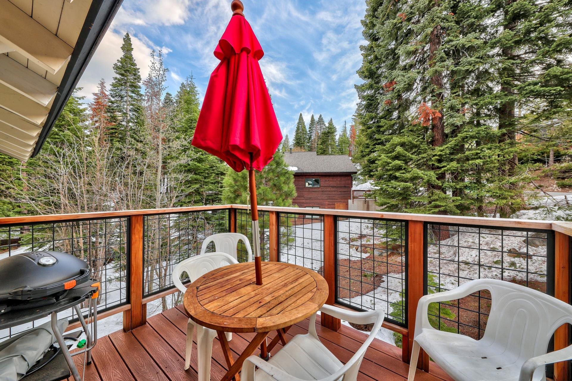 335 Snowbird Loop