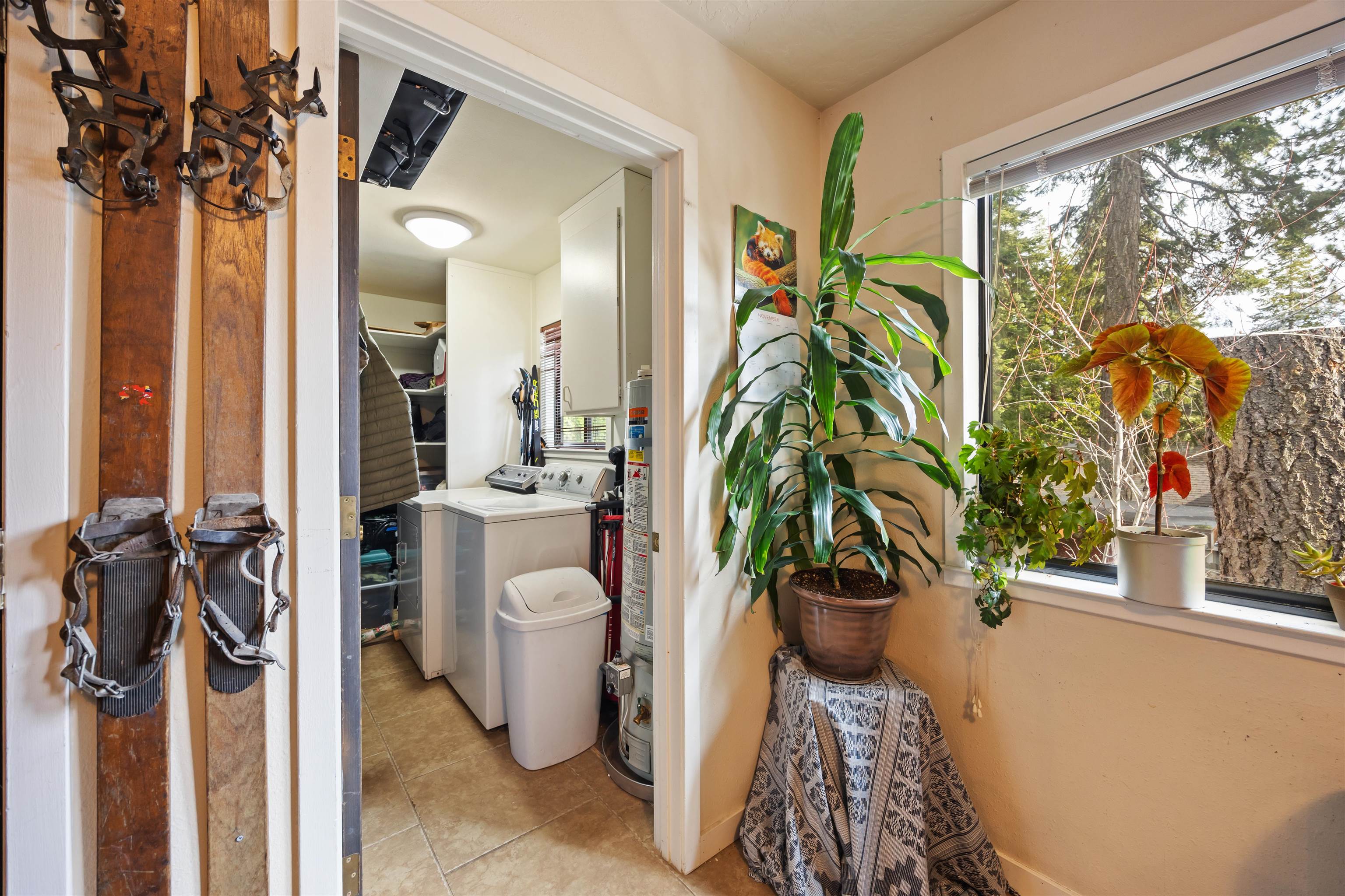 479 Jackpine Street Unit: A and B/480 Red Cedar