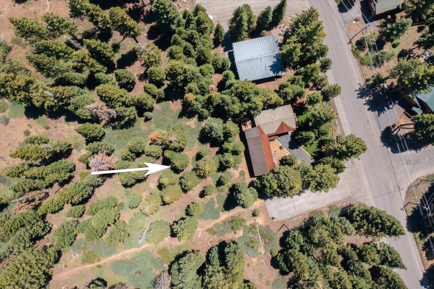 1940 Silver Tip Drive