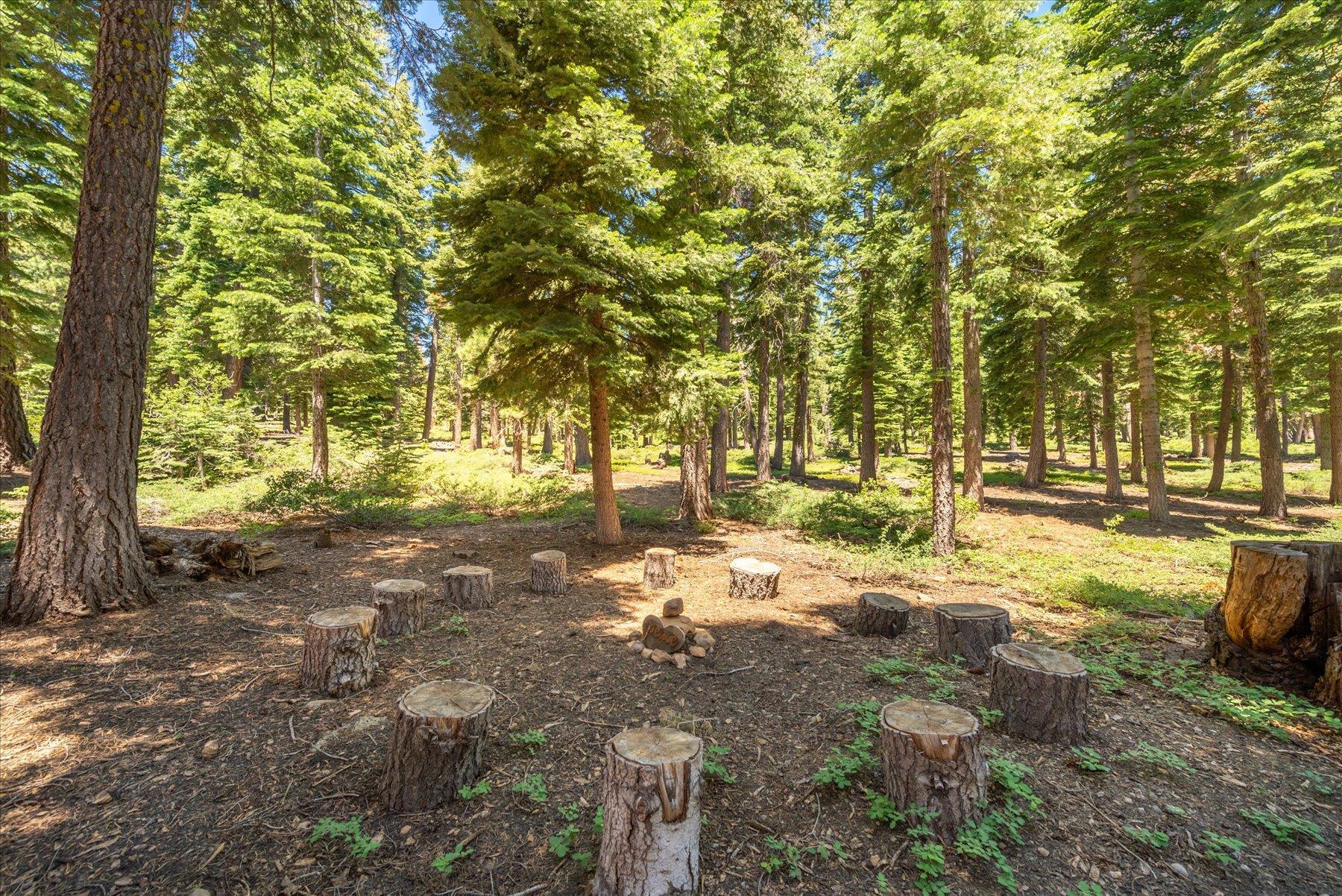 1940 Silver Tip Drive