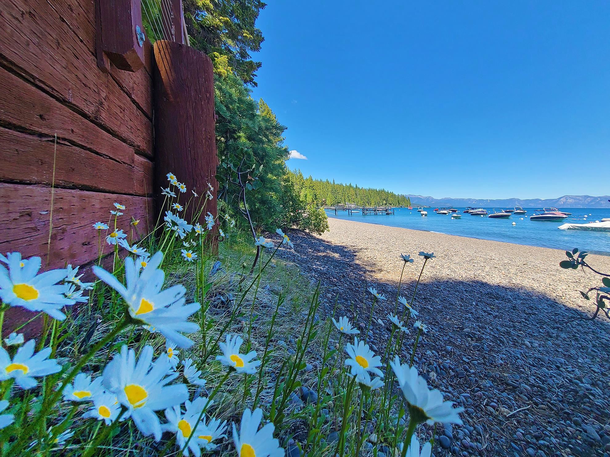 1940 Silver Tip Drive