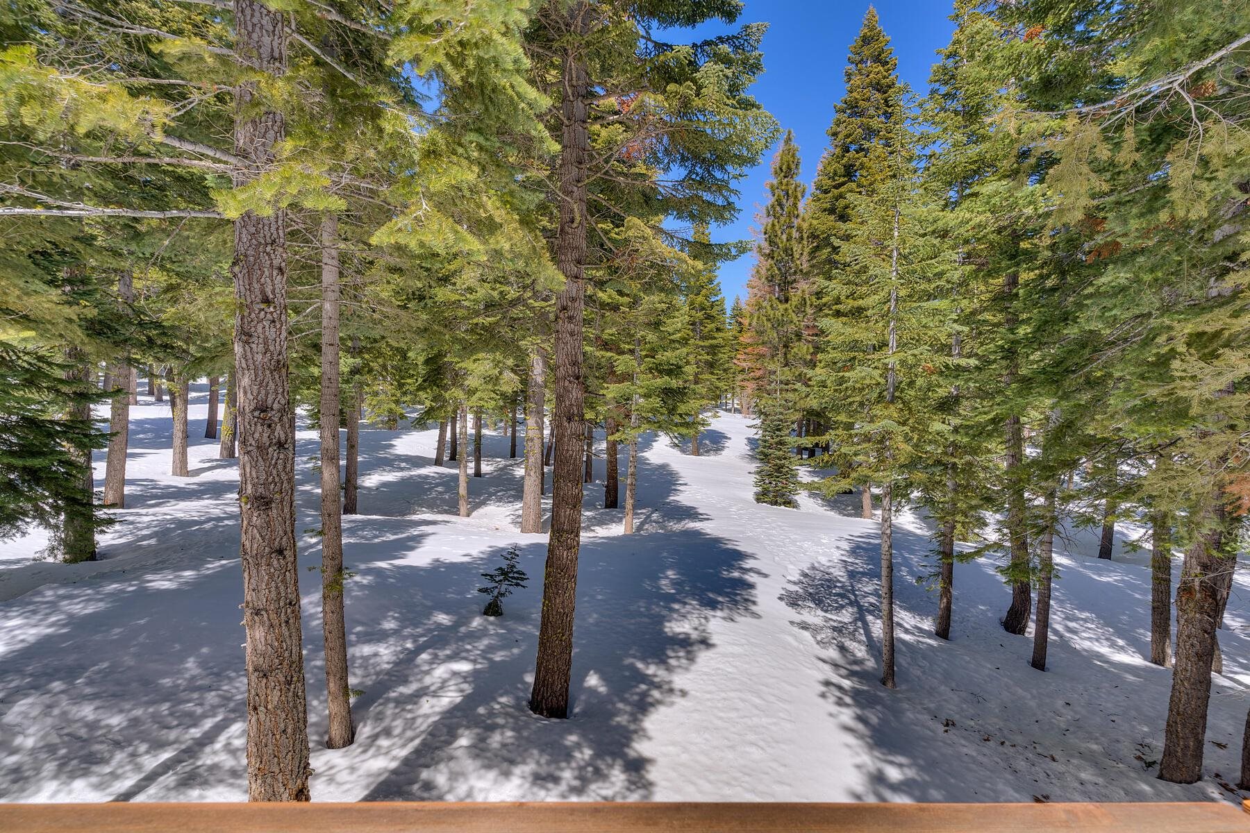 1940 Silver Tip Drive