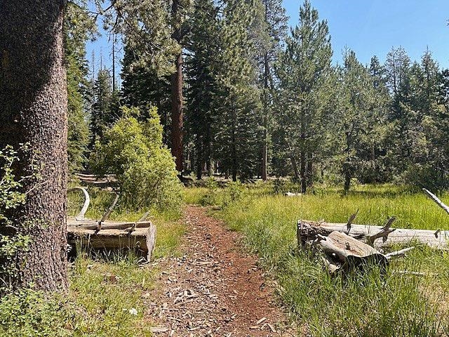 600 McKinney Creek Road