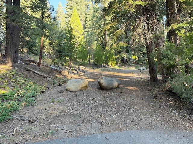 Wooded property entrance with a dirt driveway and two large boulders.