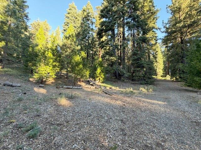 Wooded vacant lot with a broad clearing beneath tall pine trees.