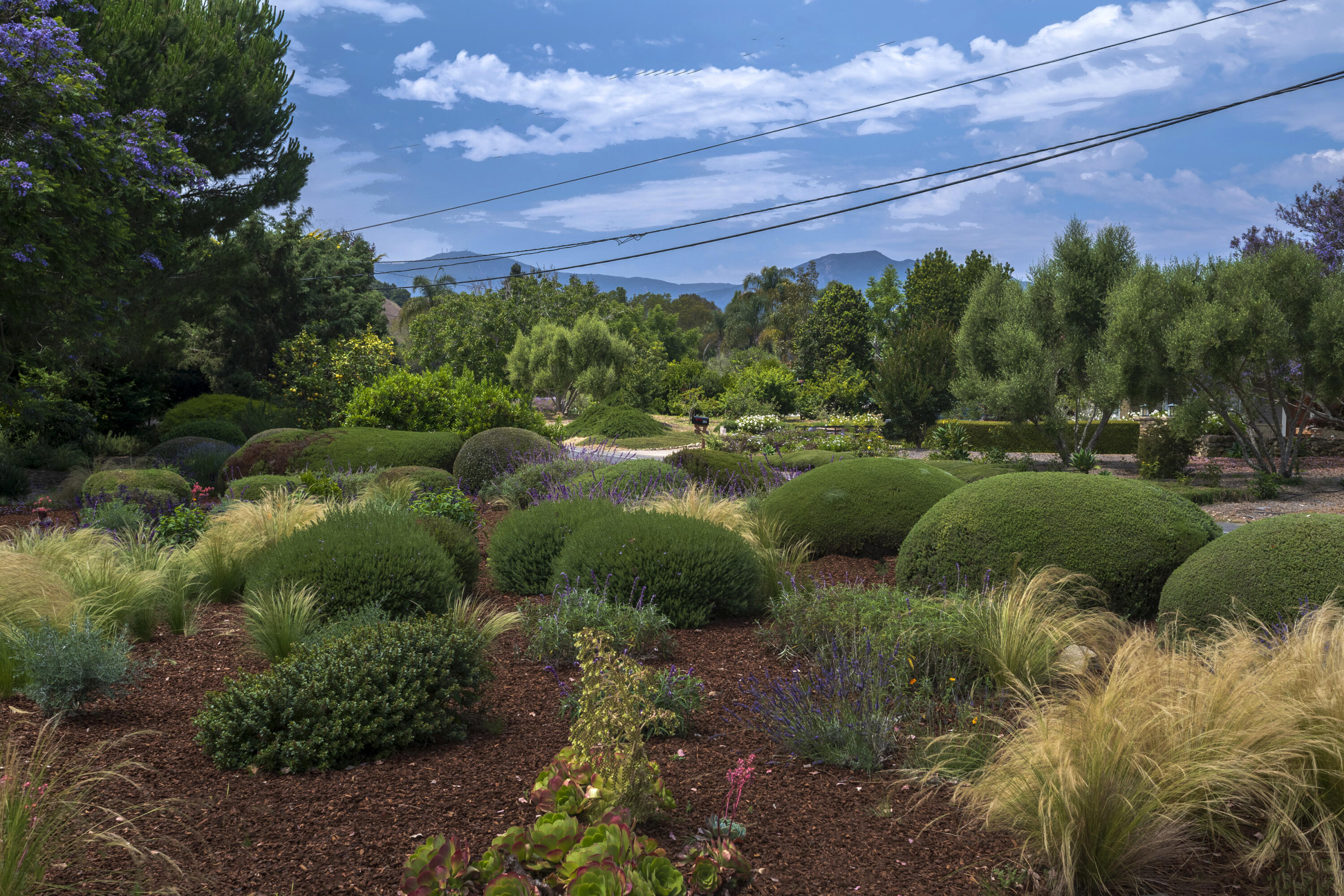 259 Vereda Leyenda