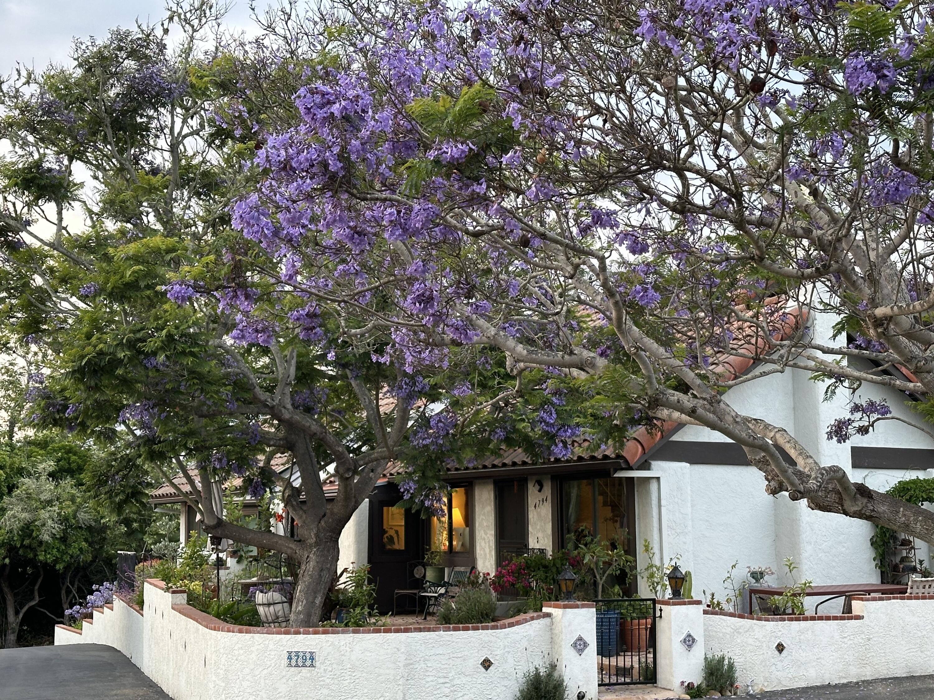 4794 Calle Camarada