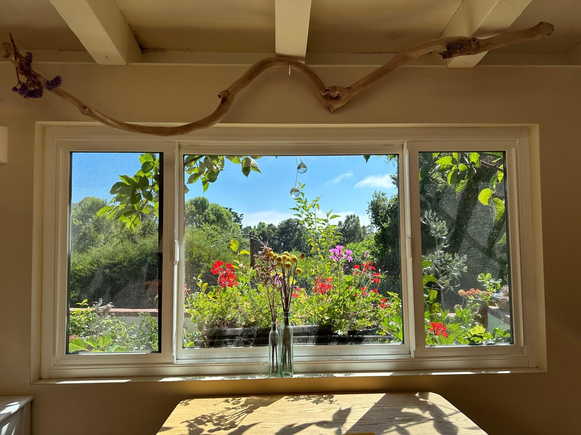 4794 Calle Camarada