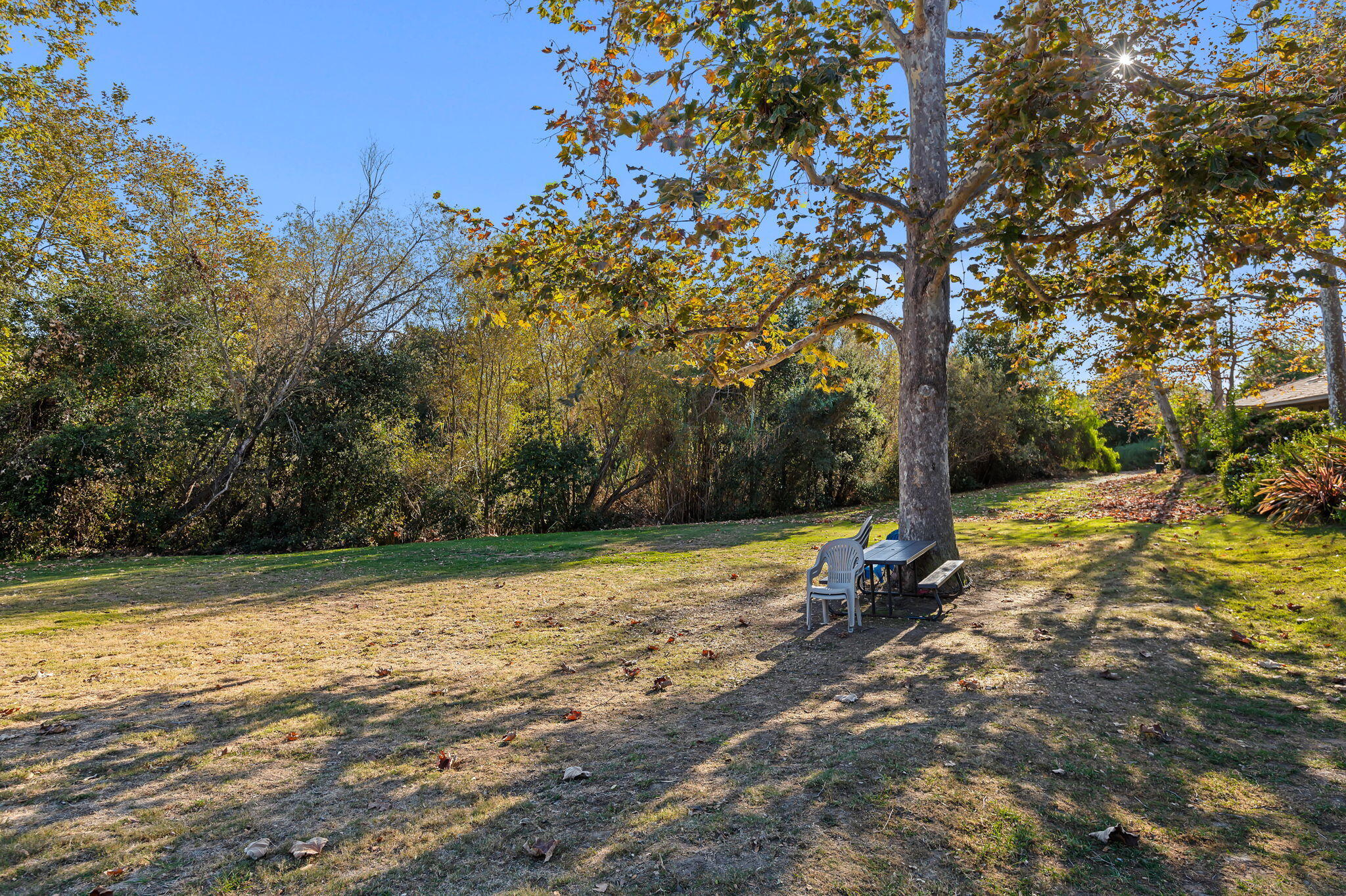 5290 Overpass Road 8