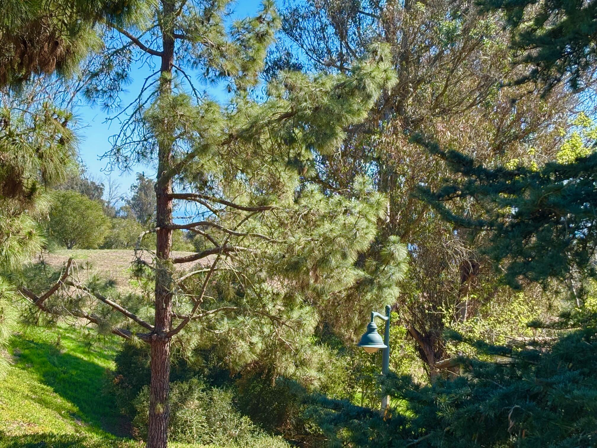 958 Miramonte Drive 1