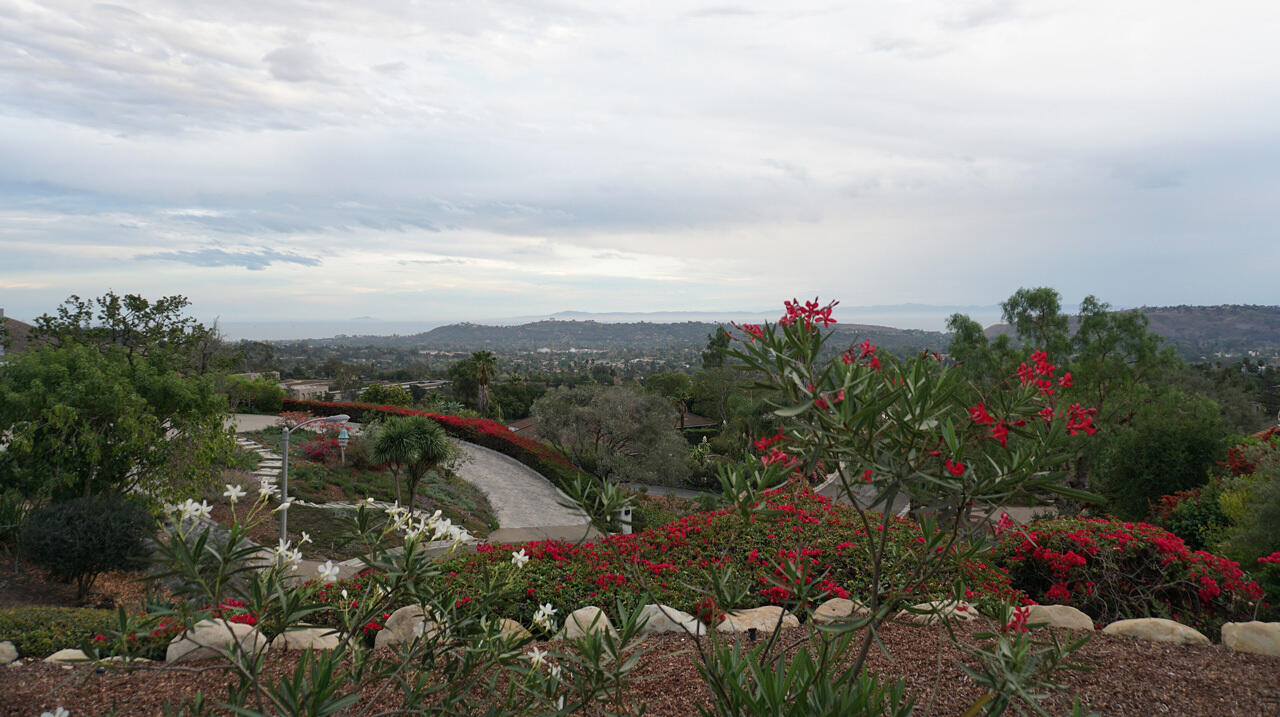 31 Celine Drive