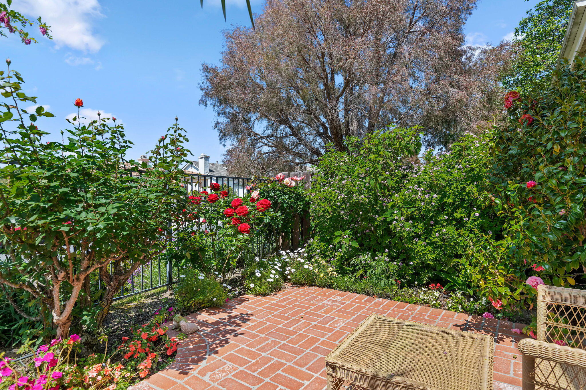 91 Touran Lane
