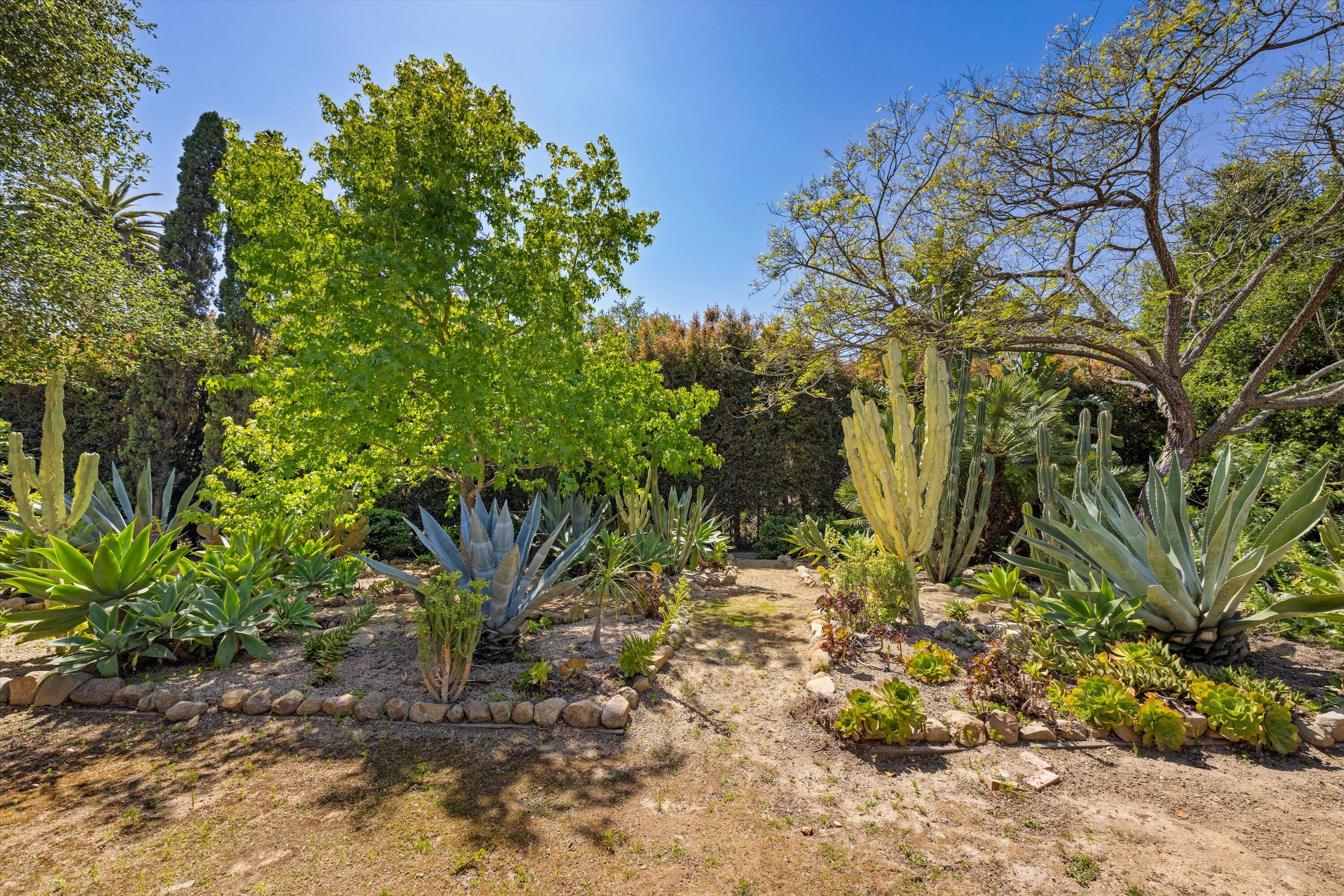 559 Hot Springs Road