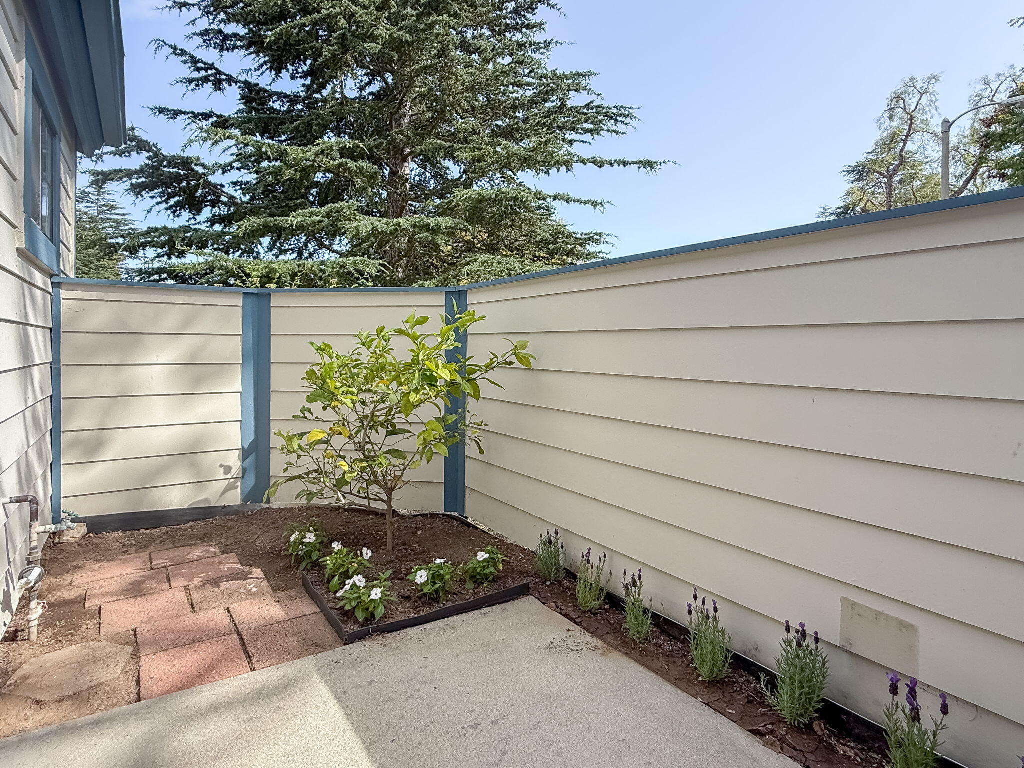 5372 Traci Drive